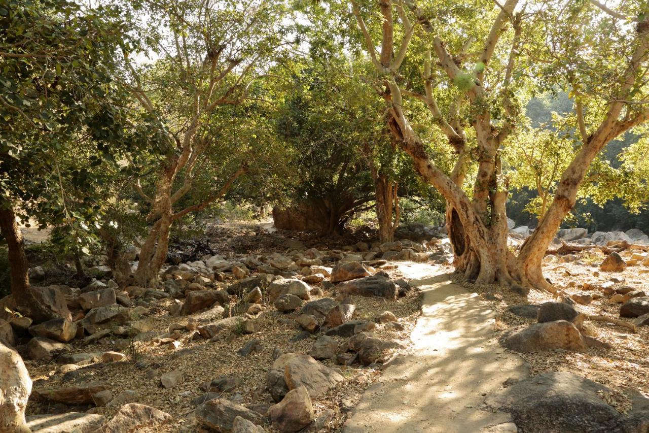 Bijapur Lodge Jawai Bagian luar foto